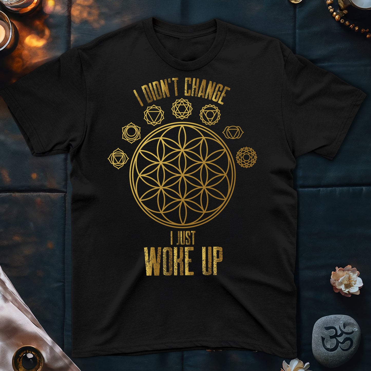 I Didn't Change T-Shirt