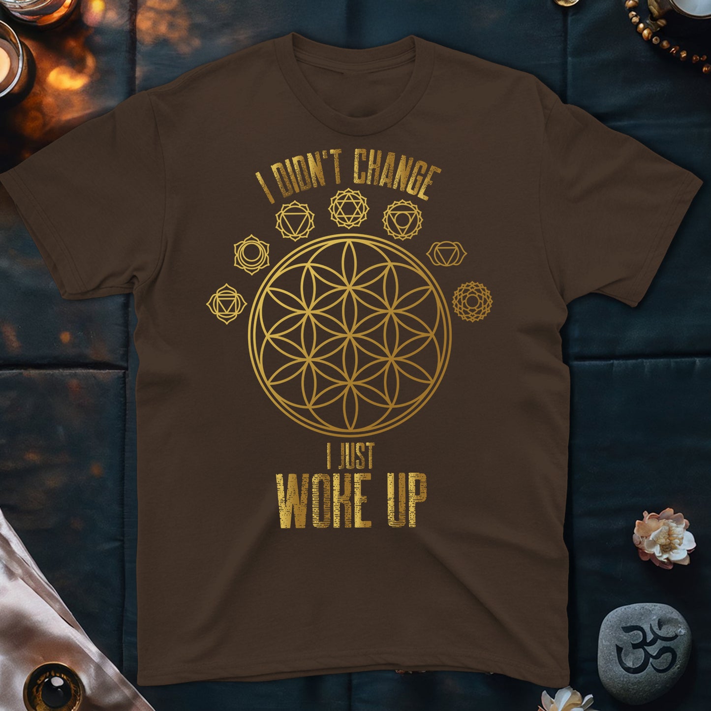 I Didn't Change T-Shirt