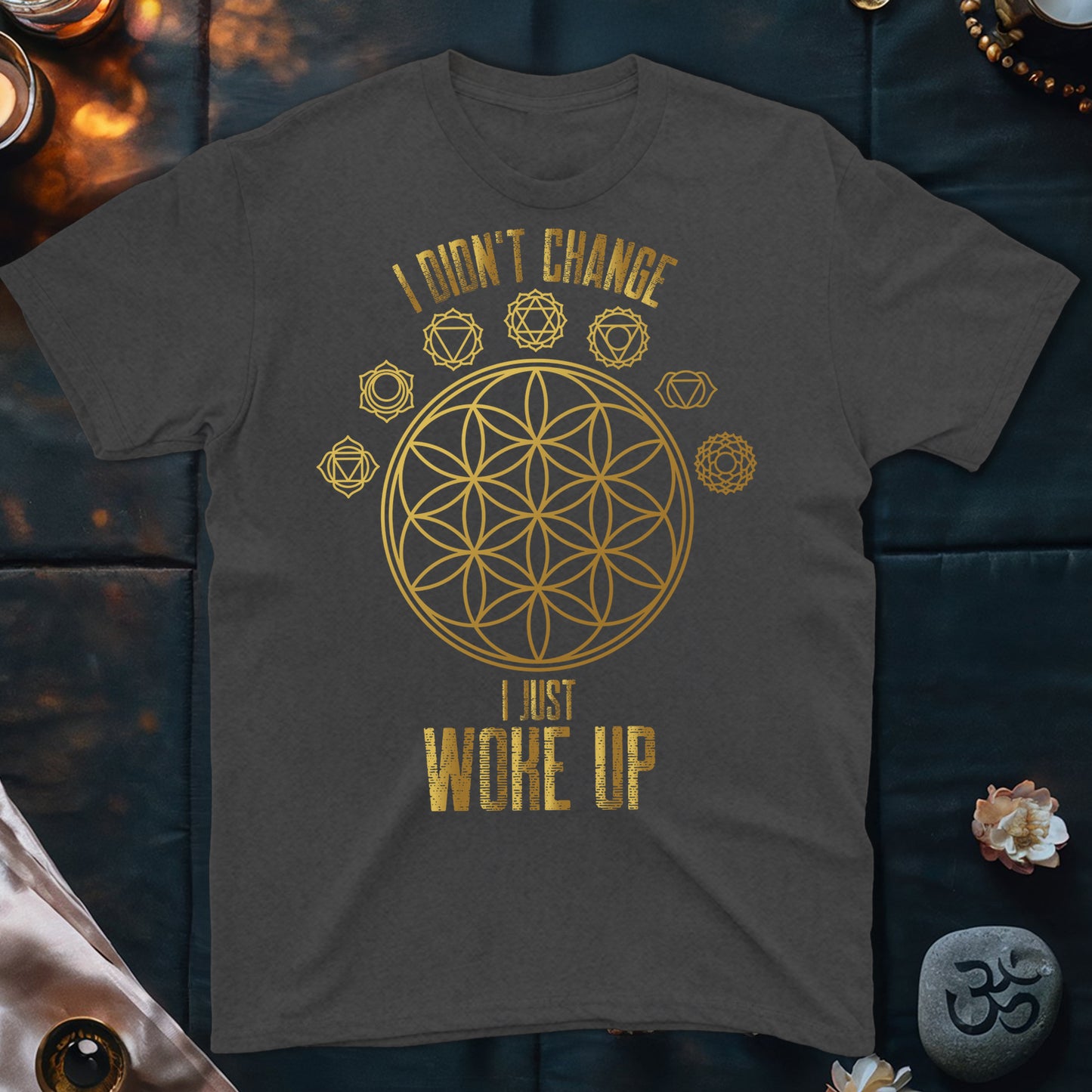 I Didn't Change T-Shirt