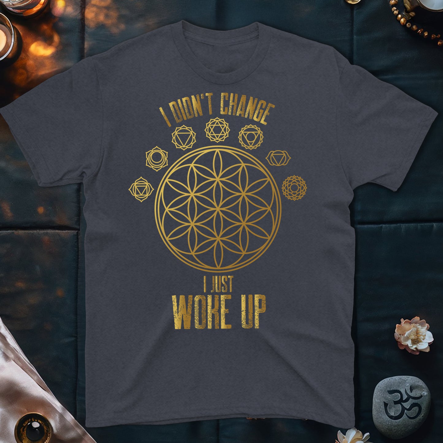 I Didn't Change T-Shirt