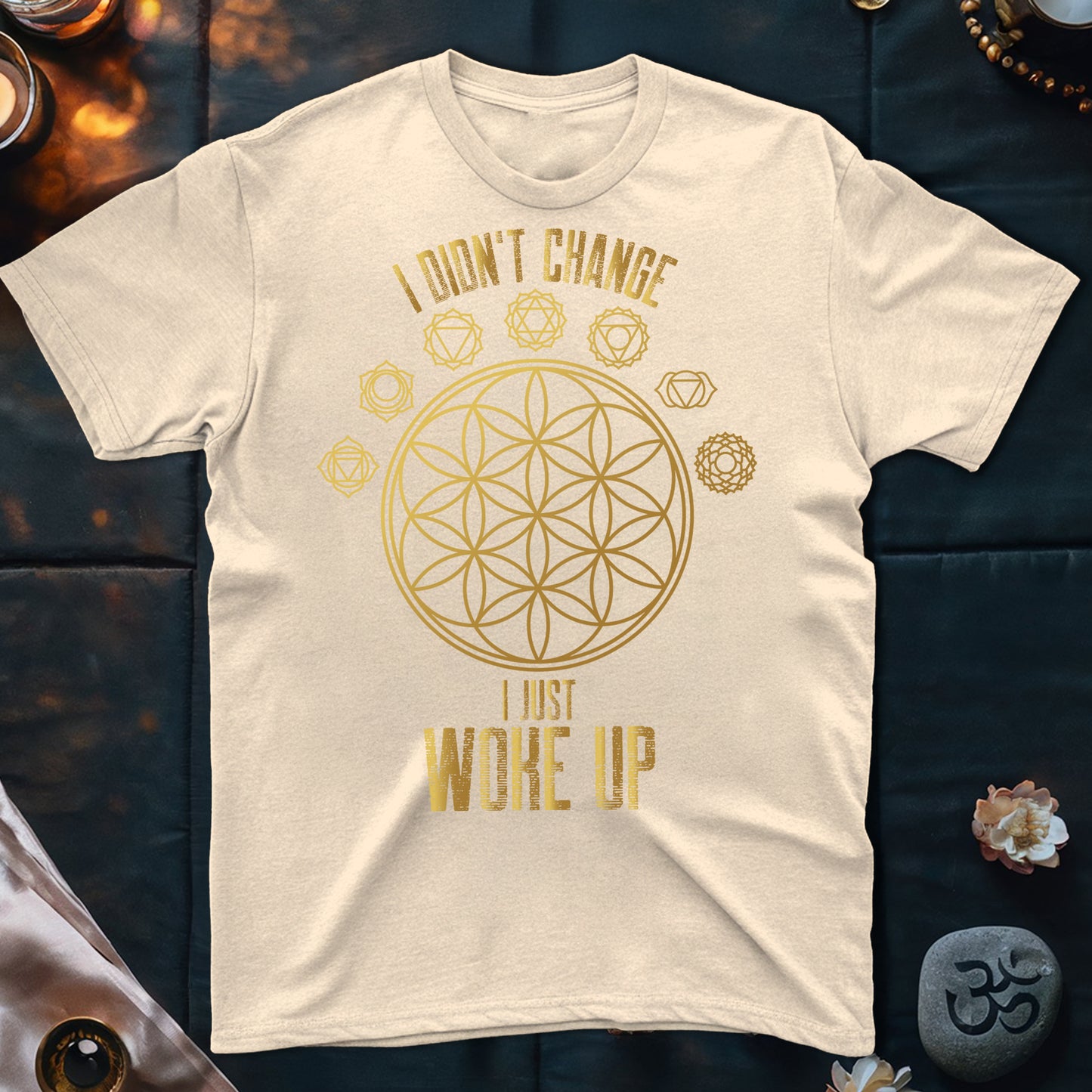 I Didn't Change T-Shirt