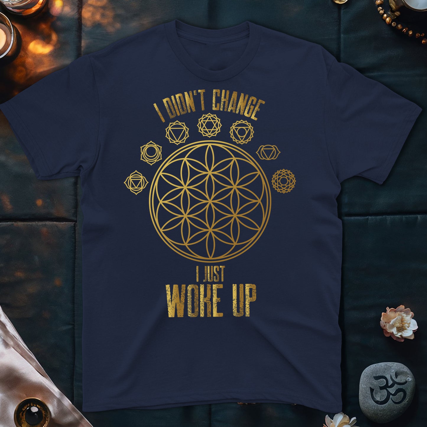 I Didn't Change T-Shirt