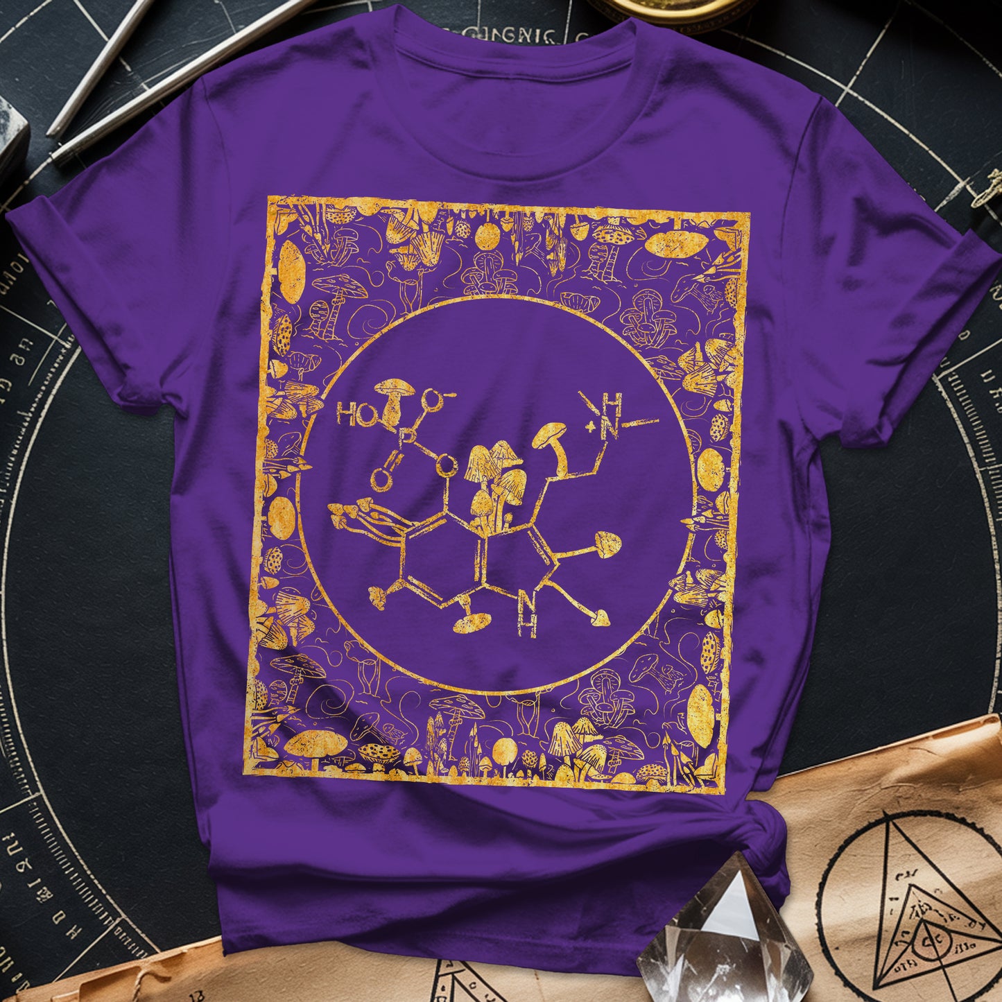 Psilocybin Molecule Mushroom Frame T-Shirt