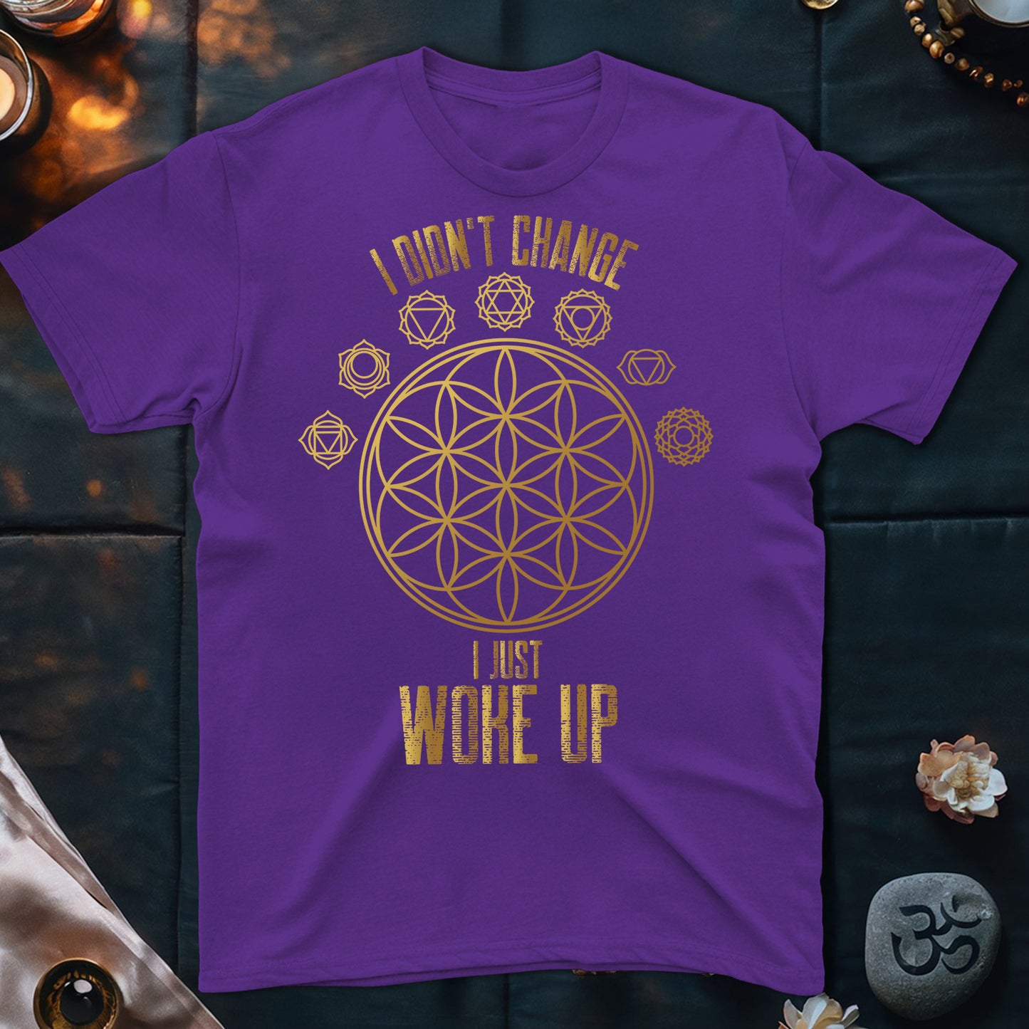 I Didn't Change T-Shirt