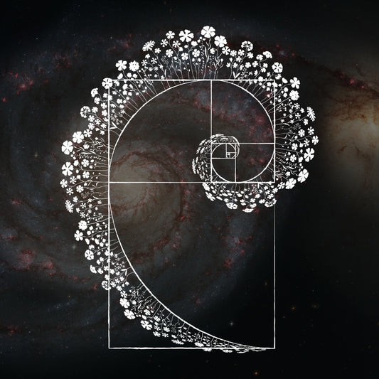 The Golden Ratio, Honestly: Where 1.618 Really Shows Up in Nature (and Where It Doesn't)