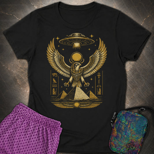 Falcon Guardian Beneath the Starship - Falcon Guardian Beneath the Starship Womens T-Shirt - Black