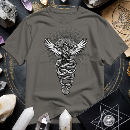 PIneal Gland Transformation T-Shirt