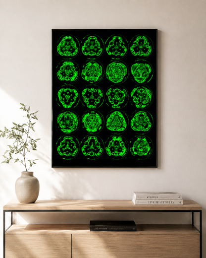 12 Hz Cymatic Poster