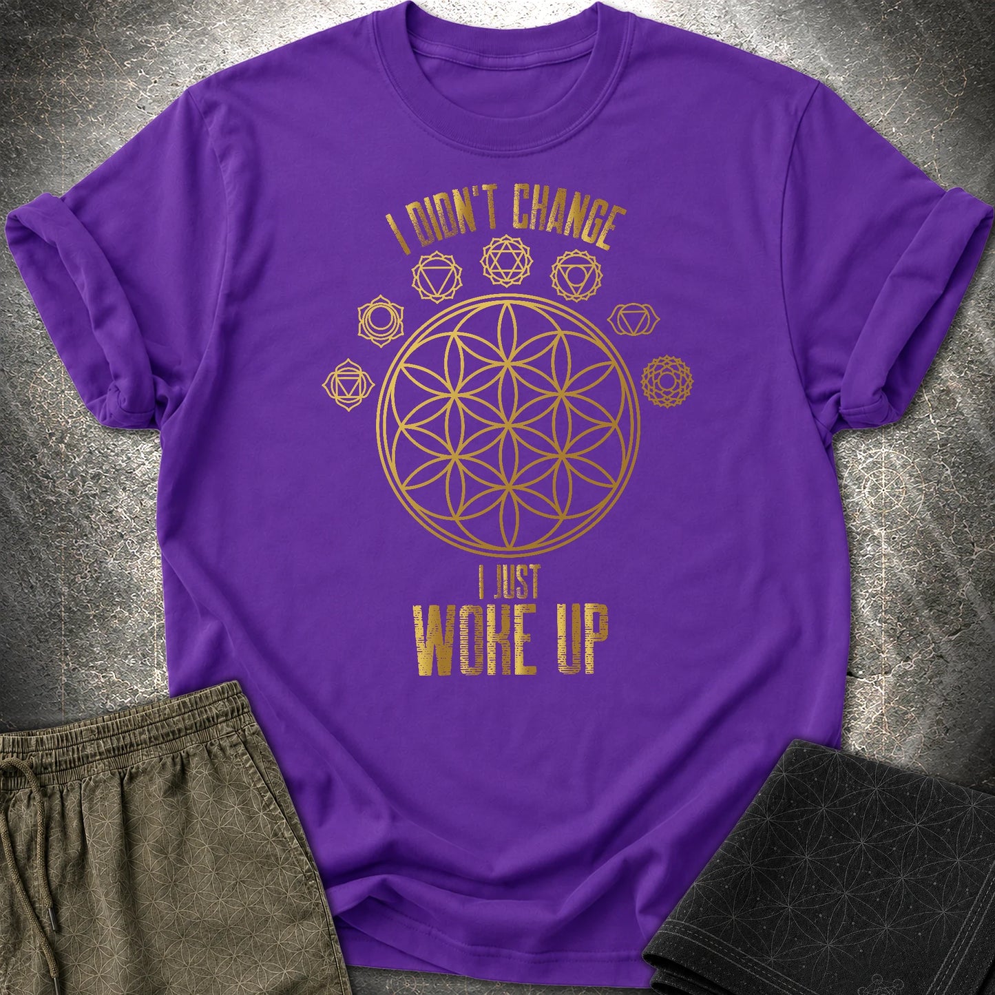 I Didn't Change T-Shirt - I Didn't Change T-Shirt - Purple
