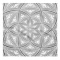 Sierpinski Fractal Seed White Bandana