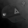 SIerpinski Recursive Distressed Hat