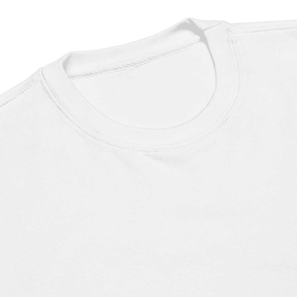 Cotton Heritage M2480: Neckline & stitching